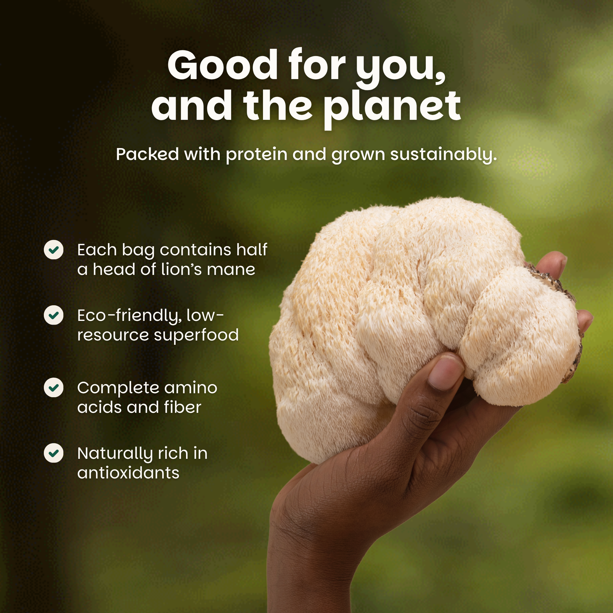 Rosemary & Thyme Mushroom Bites - 3 Packs (⚠️Back in Stock Feb 2026)